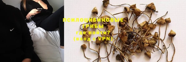 дживик Балахна