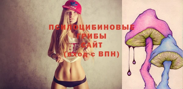 дживик Балахна