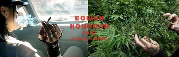 дживик Балахна